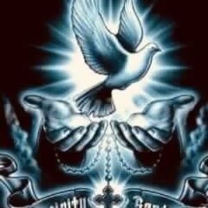 Meet your Posher, Dalila